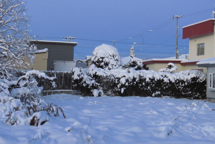 webnews�����̖k��