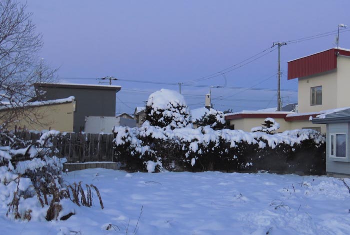 webnews�����̖k��