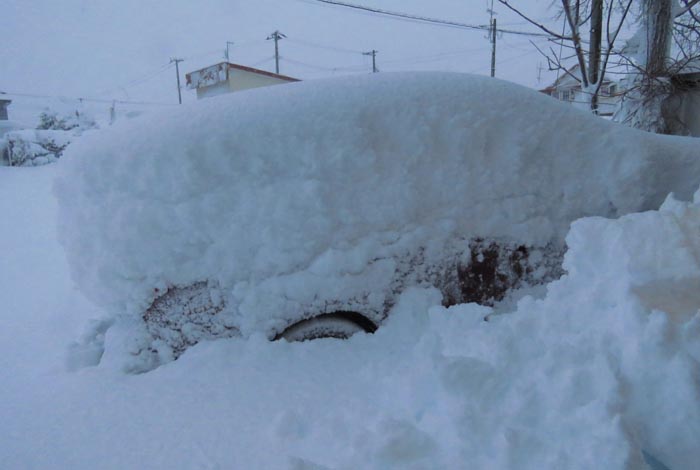 webnews�����̖k��