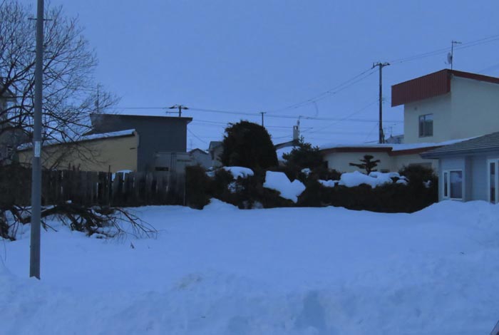 webnews�����̖k��