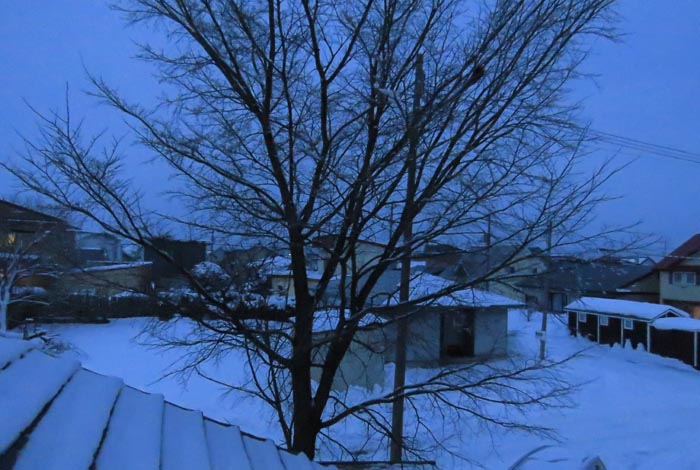 webnews�����̖k���^���̋�