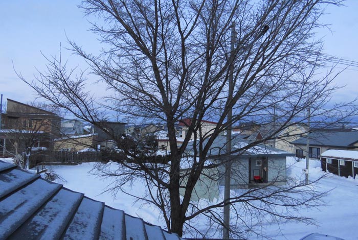 webnews�����̖k���^���̋�