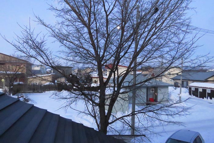 webnews�����̖k���^���̋�