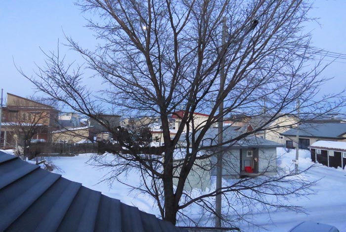 webnews�����̖k���^���̋�