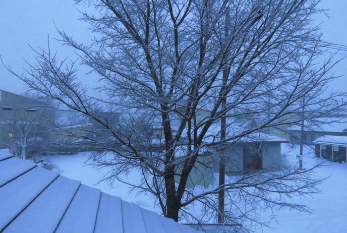 webnews�����̖k���^���̋�