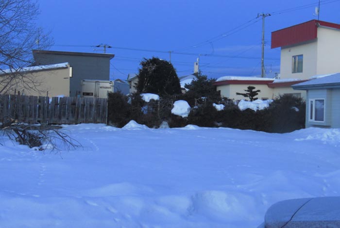 webnews�����̖k��