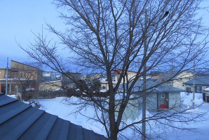 webnews�����̖k���^���̋�