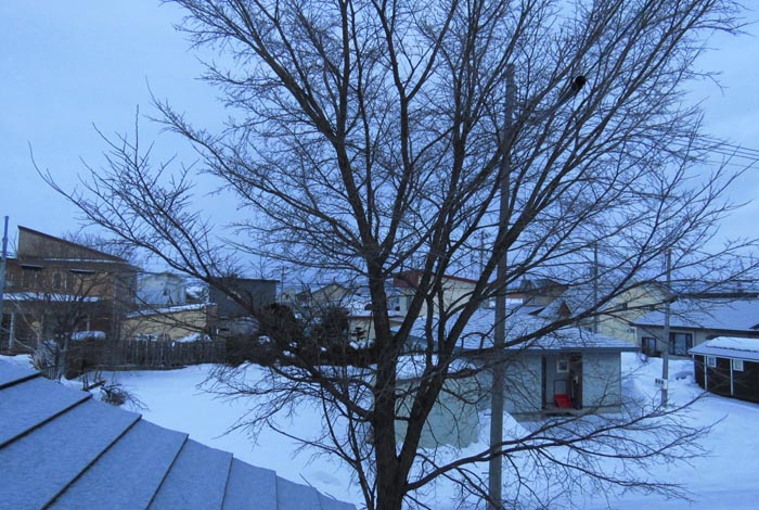 webnews�����̖k���^���̋�