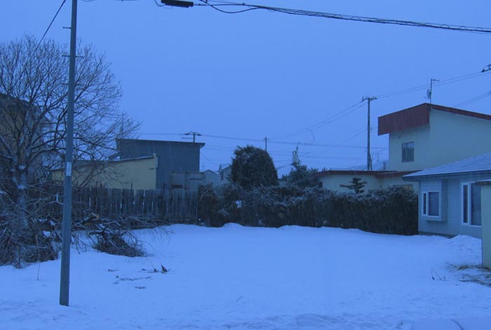 webnews�����̖k��