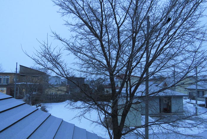 webnews�����̖k���^���̋�