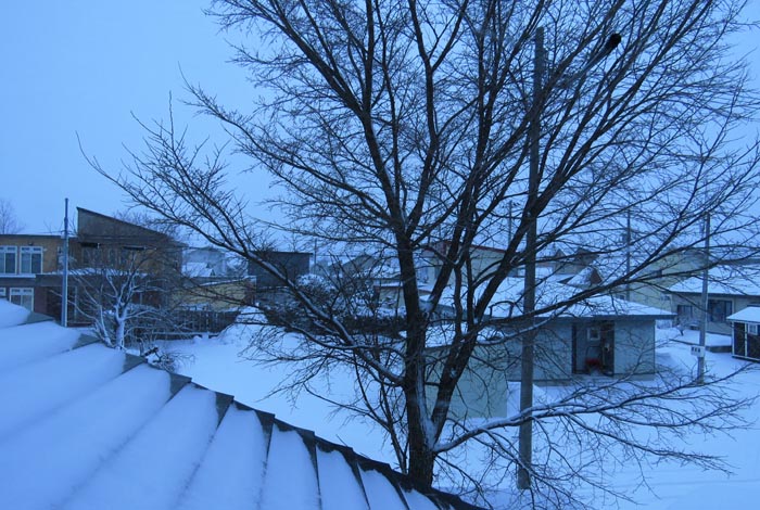 webnews�����̖k���^���̋�