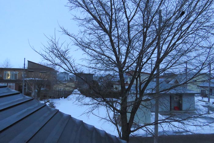 webnews�����̖k���^���̋�