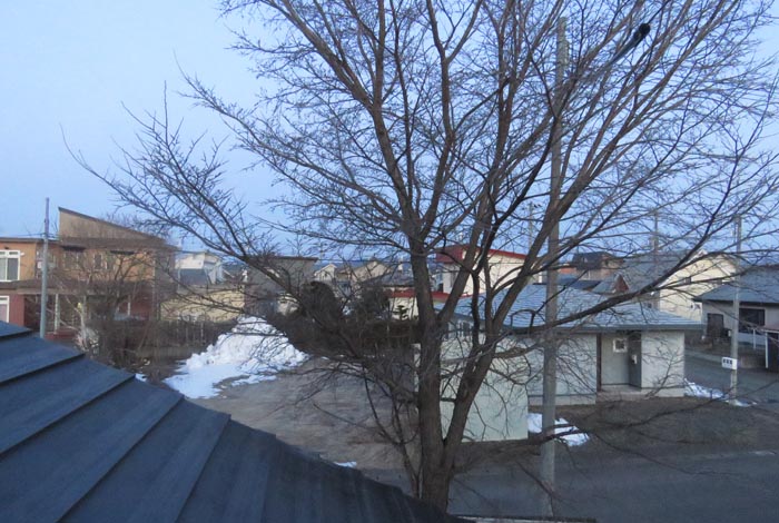 webnews�����̖k���^���̋�