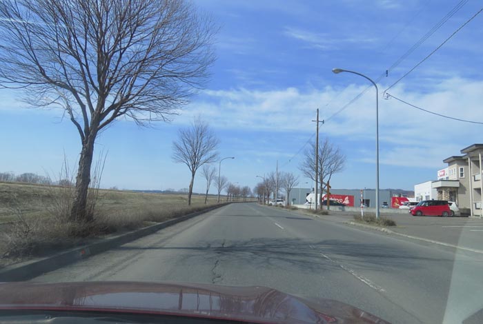 webnews�����̖k���^���̎q�_��