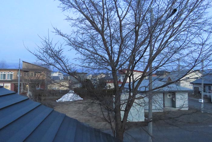 webnews�����̖k���^���̋�