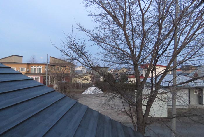 webnews�����̖k���^���̋�