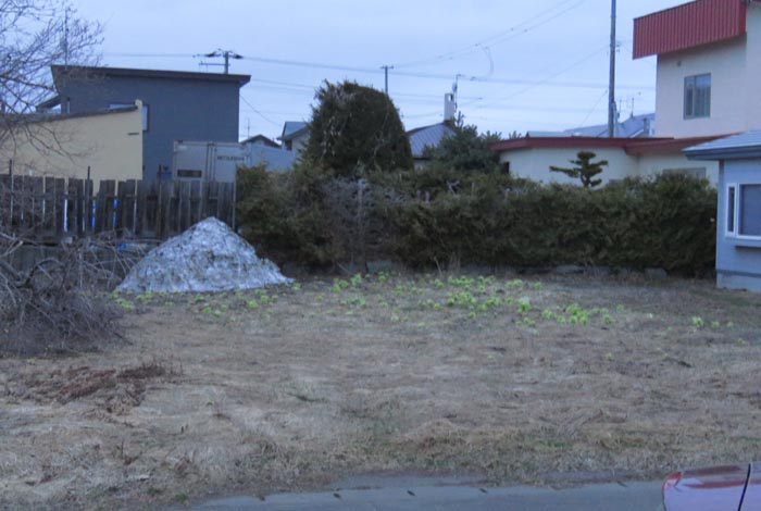 webnews�����̖k��