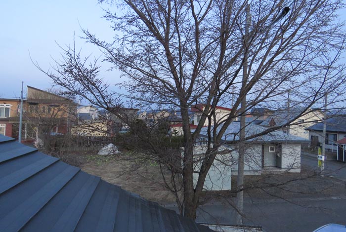 webnews�����̖k���^���̋�