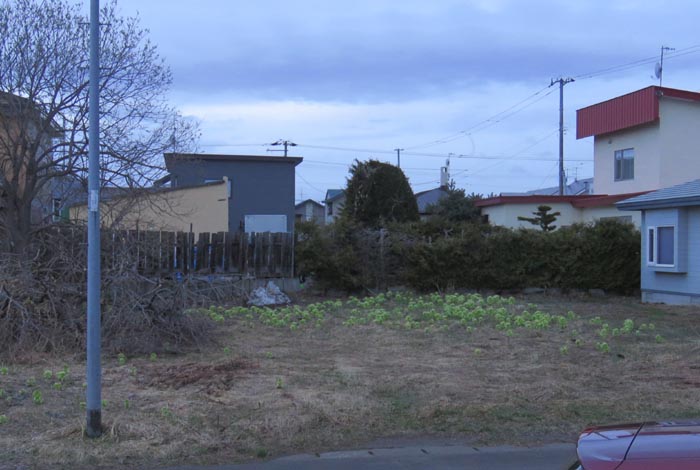 webnews�����̖k��