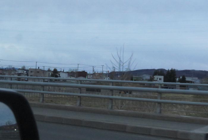 webnews�����̖k���^�m���R����ɂ͊J���ǂ̖������p�{�݂�����