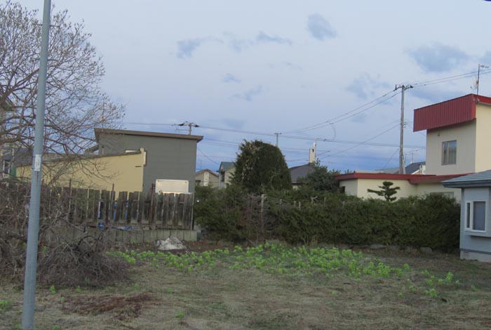 webnews�����̖k��