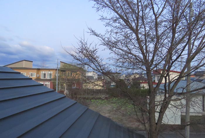 webnews�����̖k���^���̋�