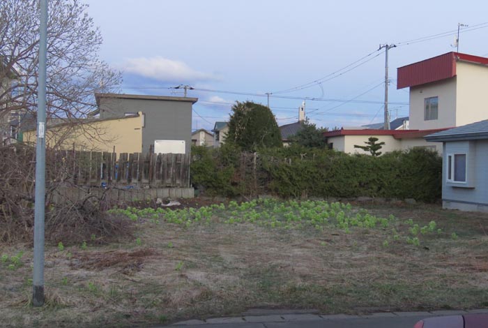 webnews�����̖k��