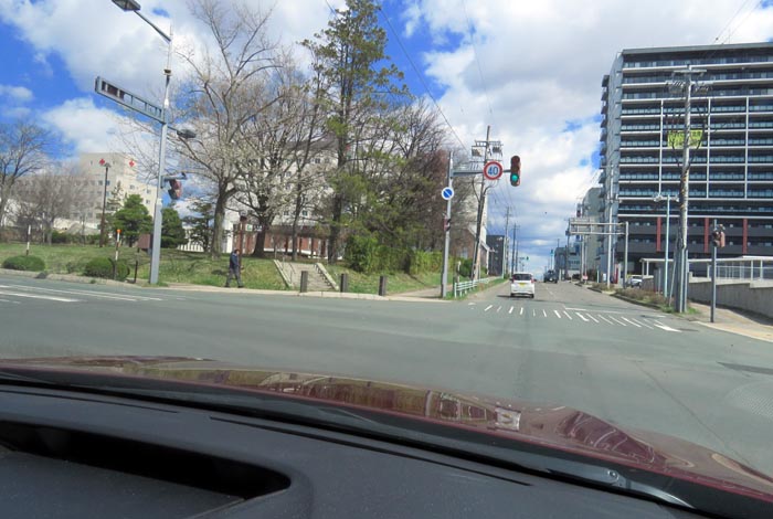 webnews�����̖k���^���̎q�_��