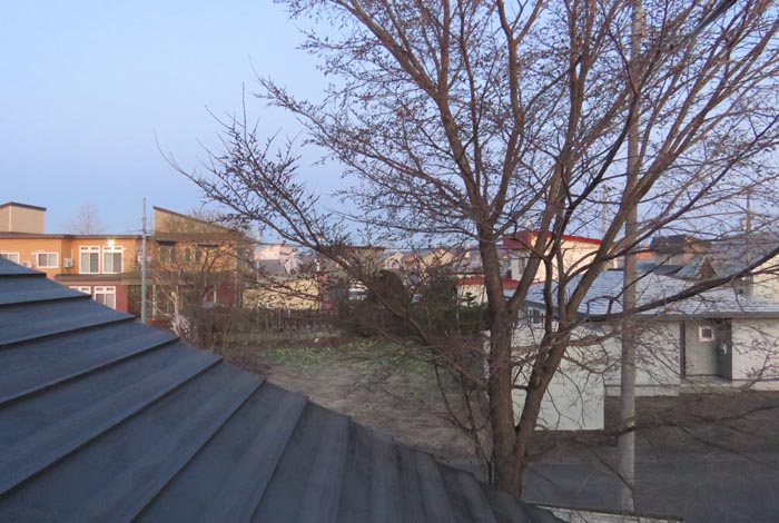 webnews�����̖k���^���̋�