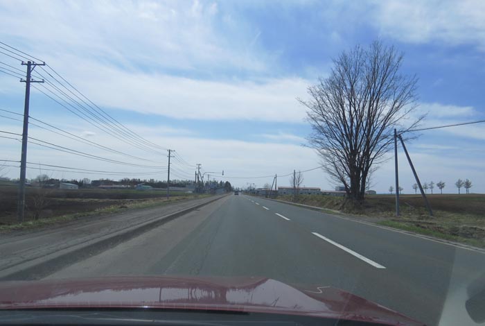 webnews�����̖k��