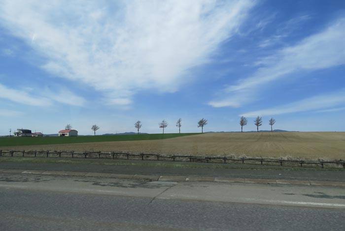 webnews�����̖k��