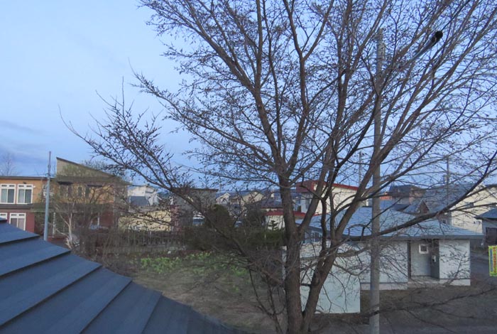 webnews�����̖k���^���̋�