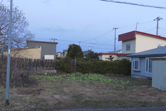 webnews�����̖k��