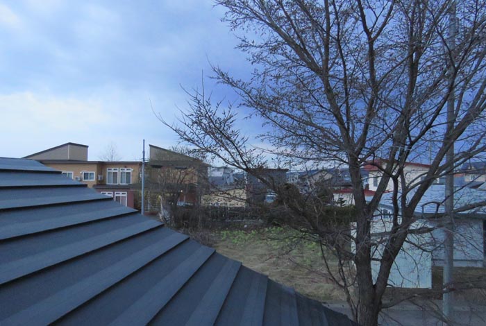 webnews�����̖k���^���̋�