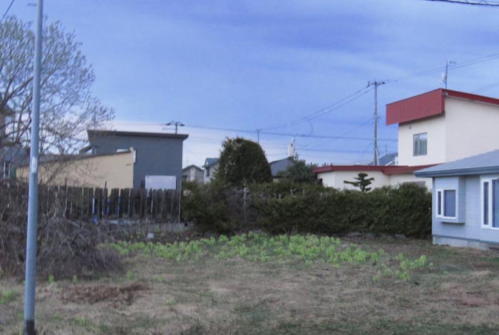 webnews�����̖k��