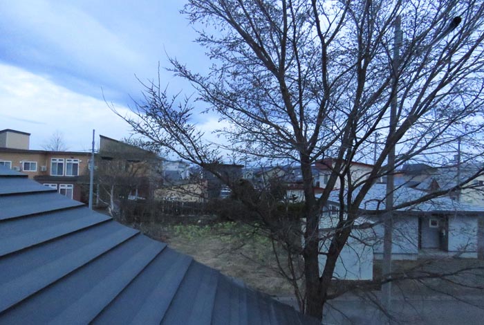 webnews�����̖k���^���̋�